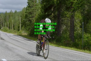 【 J9九游会平台】丹佛掘金官博晒出约基奇训练照，球迷热议，这位MVP仍是球队最珍贵的宝藏！